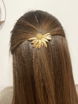 Barrette Demi