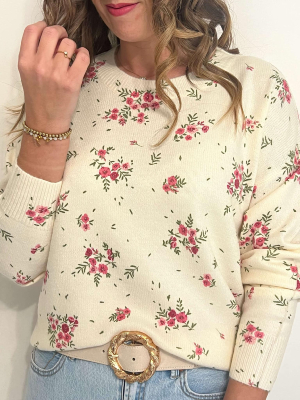 Pull Fabiola