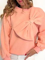 Pull Alan (pêche)