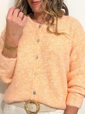 Gilet Luc (abricot)