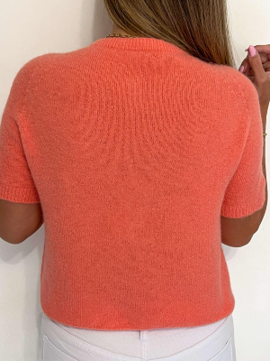 Top Louis (Corail)
