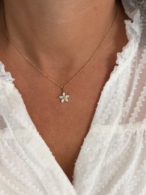 Collier Lys