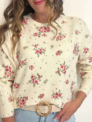 Pull Fabiola