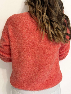 Pull Coralie