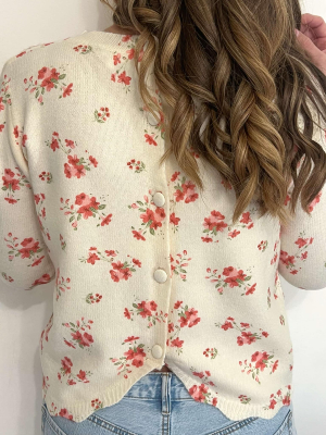 Pull Elisabeth