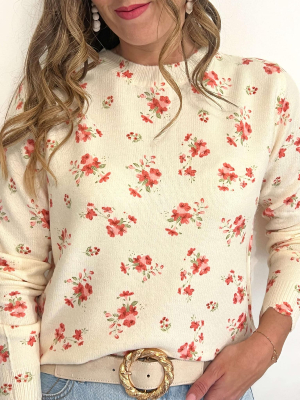 Pull Elisabeth